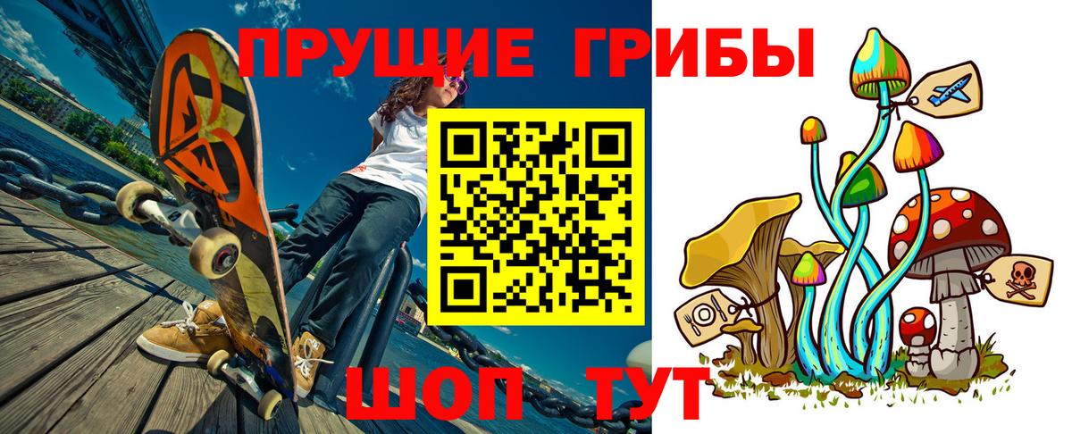 Галлюциногенные грибы Cubensis Тосно