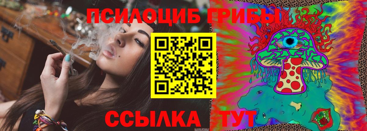Псилоцибиновые грибы прущие грибы  Вход с VPN  Тосно 